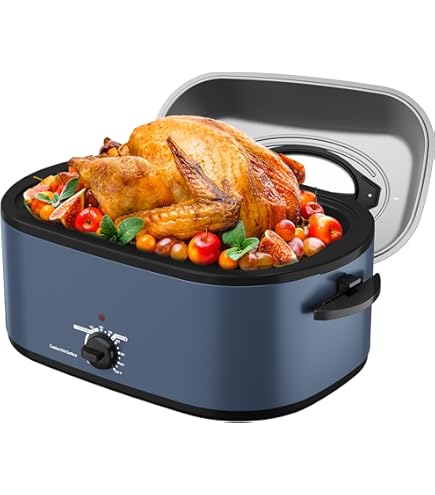 Amazon.com : TIGER Fish roaster both sides fish burner KFA